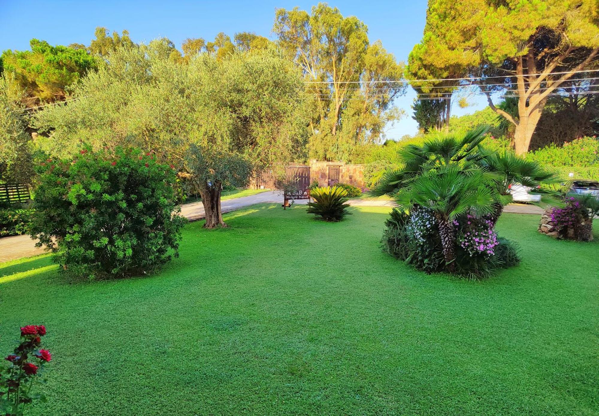 Nuraghe Bianco Bed & Breakfast Santa Maria la Palma Luaran gambar