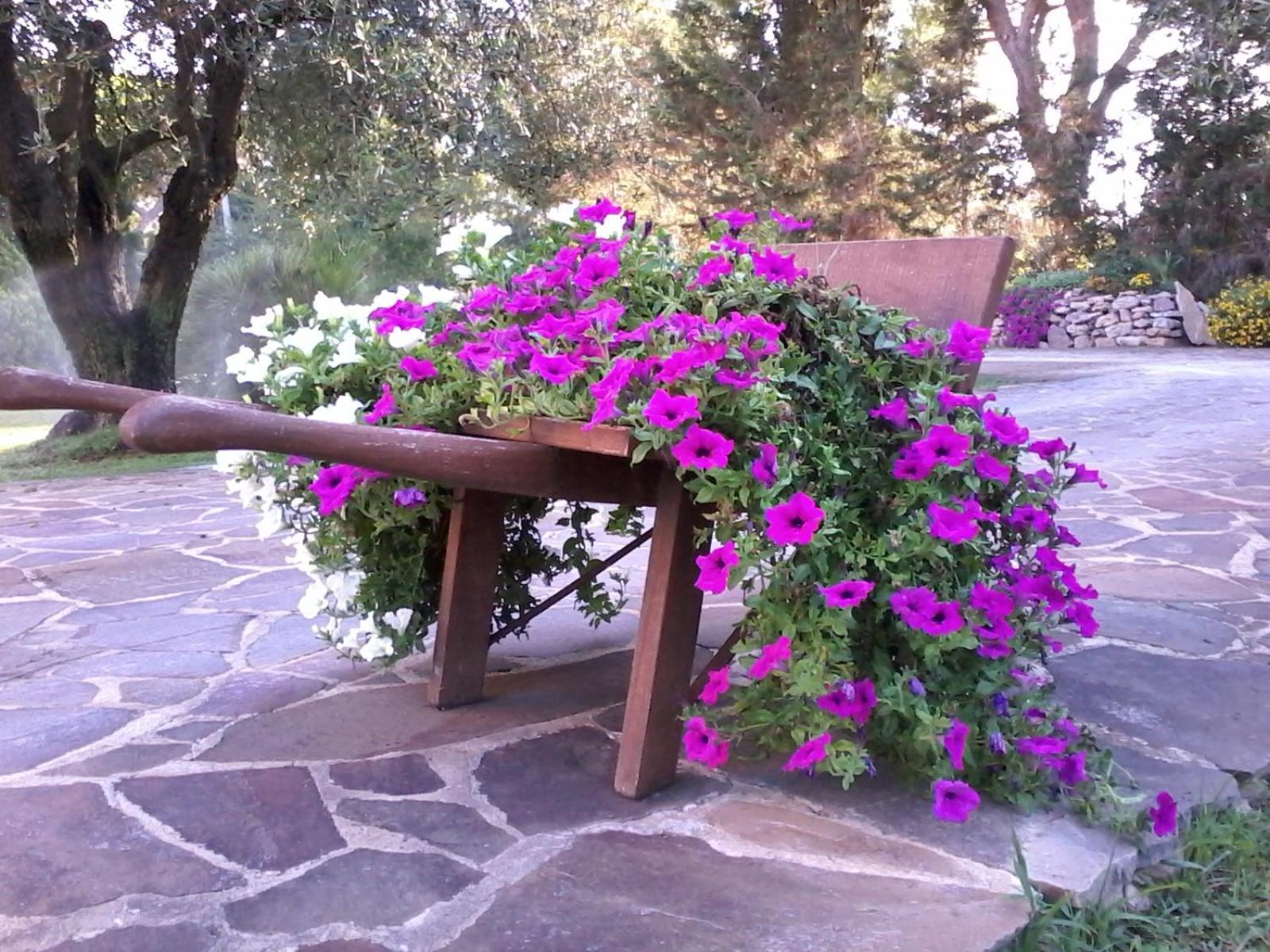 Nuraghe Bianco Bed & Breakfast Santa Maria la Palma Luaran gambar
